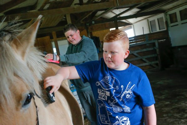 Dagbesteding met paarden voor kinderen die de verzorging van een paard doen